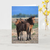 Mustang Mare en kalveren met vogels Kaart (Gele Bloem)