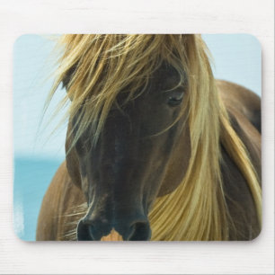 Mustang Muismat