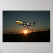 Mustang P51-Poster Poster (Voorkant)