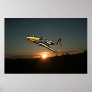Mustang P51-Poster Poster