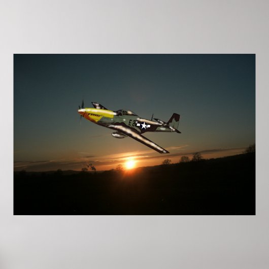 Mustang P51-Poster Poster (Voorkant)