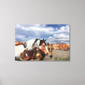 Mustang paarden in het wild, hengst en zijn merrie canvas afdruk (Voorkant)