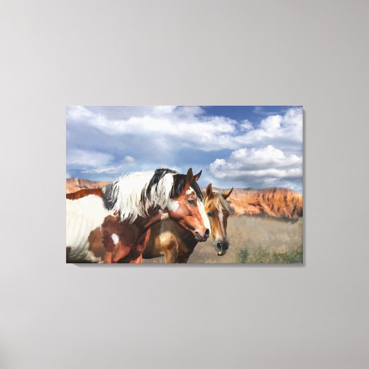 Mustang paarden in het wild, hengst en zijn merrie canvas afdruk (Voorkant)