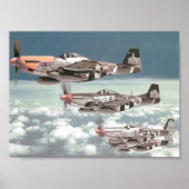 Mustang Patrol Poster (Voorkant)