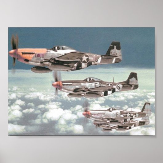 Mustang Patrol Poster (Voorkant)