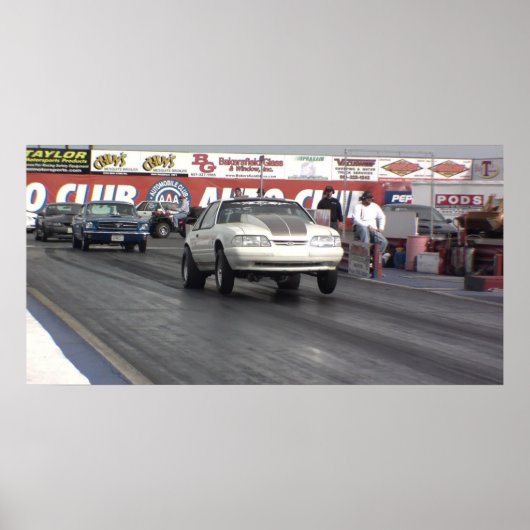 Mustang Rules. Poster (Voorkant)