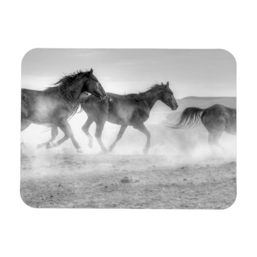 Mustang Run Magneet (Horizontaal)