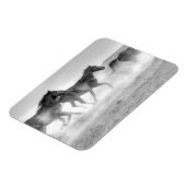 Mustang Run Magneet (Linkerzijde)