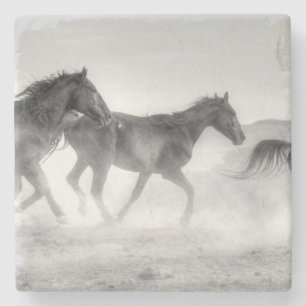 Mustang Run Stenen Onderzetter