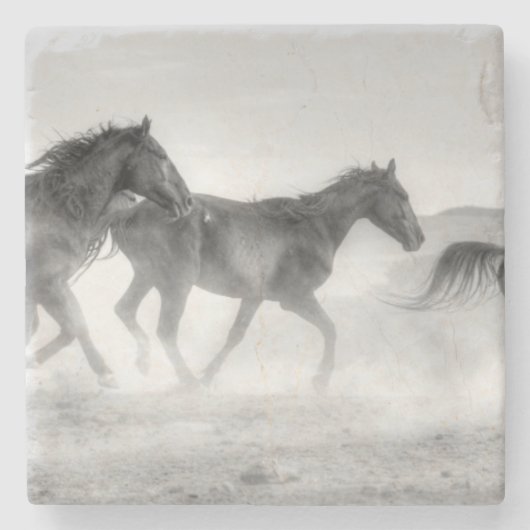 Mustang Run Stenen Onderzetter (Voorkant)