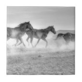 Mustang Run Tegeltje (Voorkant)