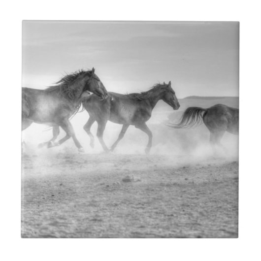 Mustang Run Tegeltje (Voorkant)