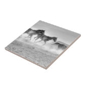 Mustang Run Tegeltje (Zijkant)