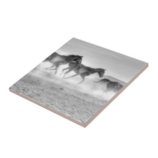 Mustang Run Tegeltje (Zijkant)