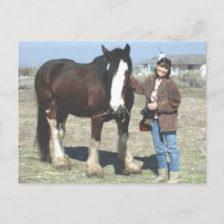 Mustang-Spirit Post Card Briefkaart