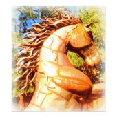 mustang stallion foto afdruk (Voorkant)