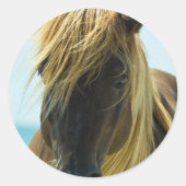 Mustang Stickers (Voorkant)