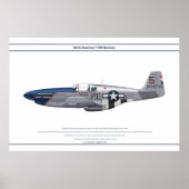 Mustang USA 328FS 1 Poster (Voorkant)