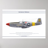 Mustang USA 5FS 1 Poster (Voorkant)