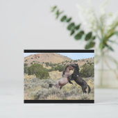 Mustang Waltz Briefkaart (Staand voorkant)