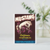 Mustang Wild Horse Guadalupe California Vegetables Briefkaart (Staand voorkant)