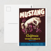 Mustang Wild Horse Guadalupe California Vegetables Briefkaart (Voorkant / Achterkant)