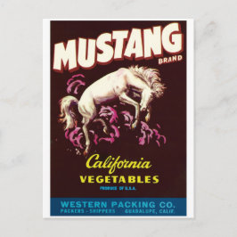 Mustang Wild Horse Guadalupe California Vegetables Briefkaart