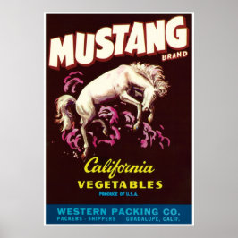 Mustang Wild Horse Guadalupe California Vegetables Poster