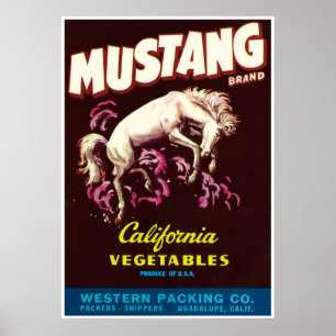 Mustang Wild Horse Guadalupe California Vegetables Poster