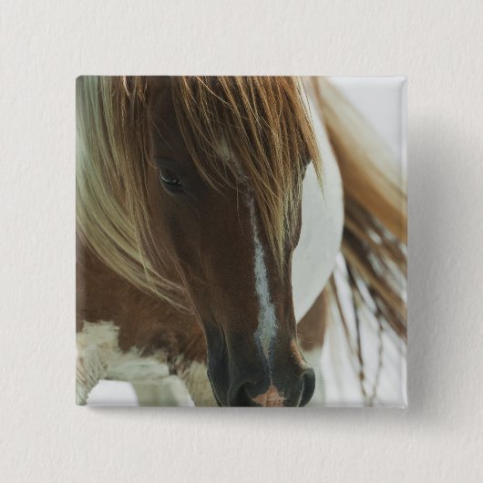 Mustang Wild Horse Square Pin Vierkante Button 5,1 Cm (Voorkant)
