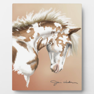 Mustang Wild Xtend Fotoplaat