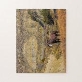 Mustang-wildhengsten. Legpuzzel (Verticaal)