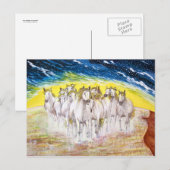 MUSTANGS BRIEFKAART (Voorkant / Achterkant)