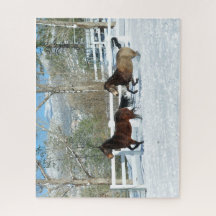 Mustangs die in de sneeuwpuzzel lopen