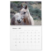 Mustangs of Sand Wash Basin Colorado Kalender (Feb 2027)