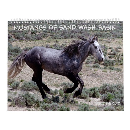 Mustangs of Sand Wash Basin Colorado Kalender (Hoes)