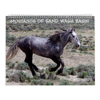 Mustangs of Sand Wash Basin Colorado Kalender