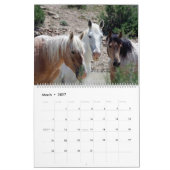 Mustangs of Sand Wash Basin Colorado Kalender (Mar 2027)