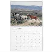 Mustangs of Sand Wash Basin Colorado Kalender (Jan 2027)