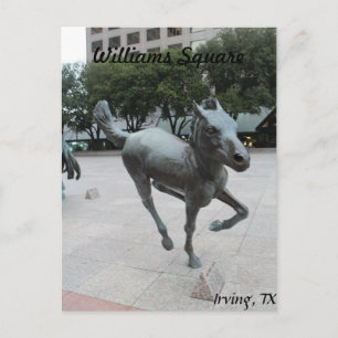 Mustangs van Las Colinas # 11 Briefkaart