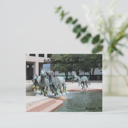 Mustangs van Las Colinas # 12 Briefkaart (Staand voorkant)