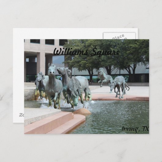 Mustangs van Las Colinas # 12 Briefkaart (Voorkant / Achterkant)