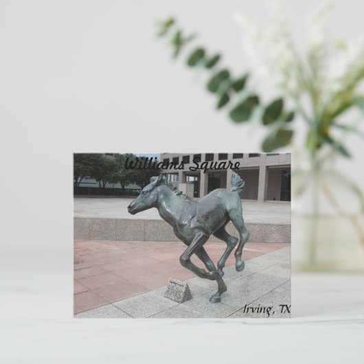 Mustangs van Las Colinas # 13 Briefkaart (Staand voorkant)