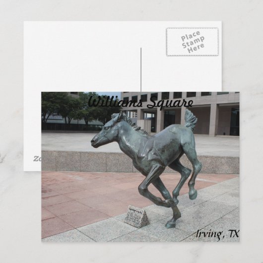 Mustangs van Las Colinas # 13 Briefkaart (Voorkant / Achterkant)