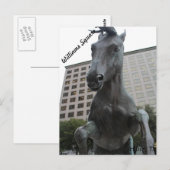 Mustangs van Las Colinas # 17 Briefkaart (Voorkant / Achterkant)