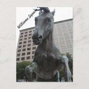 Mustangs van Las Colinas # 17 Briefkaart