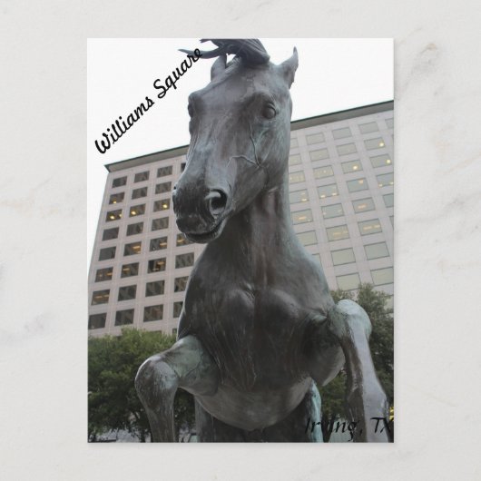 Mustangs van Las Colinas # 17 Briefkaart (Voorkant)