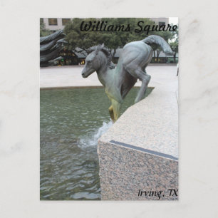 Mustangs van Las Colinas # 18 Briefkaart