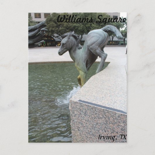 Mustangs van Las Colinas # 18 Briefkaart (Voorkant)