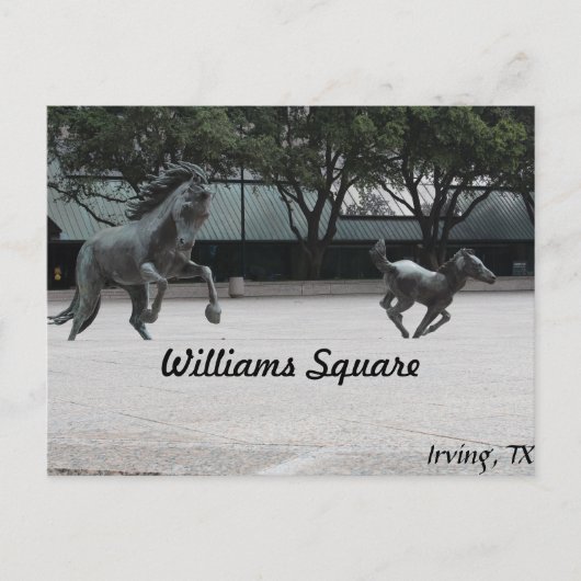 Mustangs van Las Colinas # 19 Briefkaart (Voorkant)